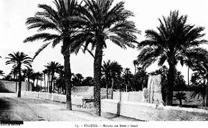 Figuig - Route de Beni-Ounif  